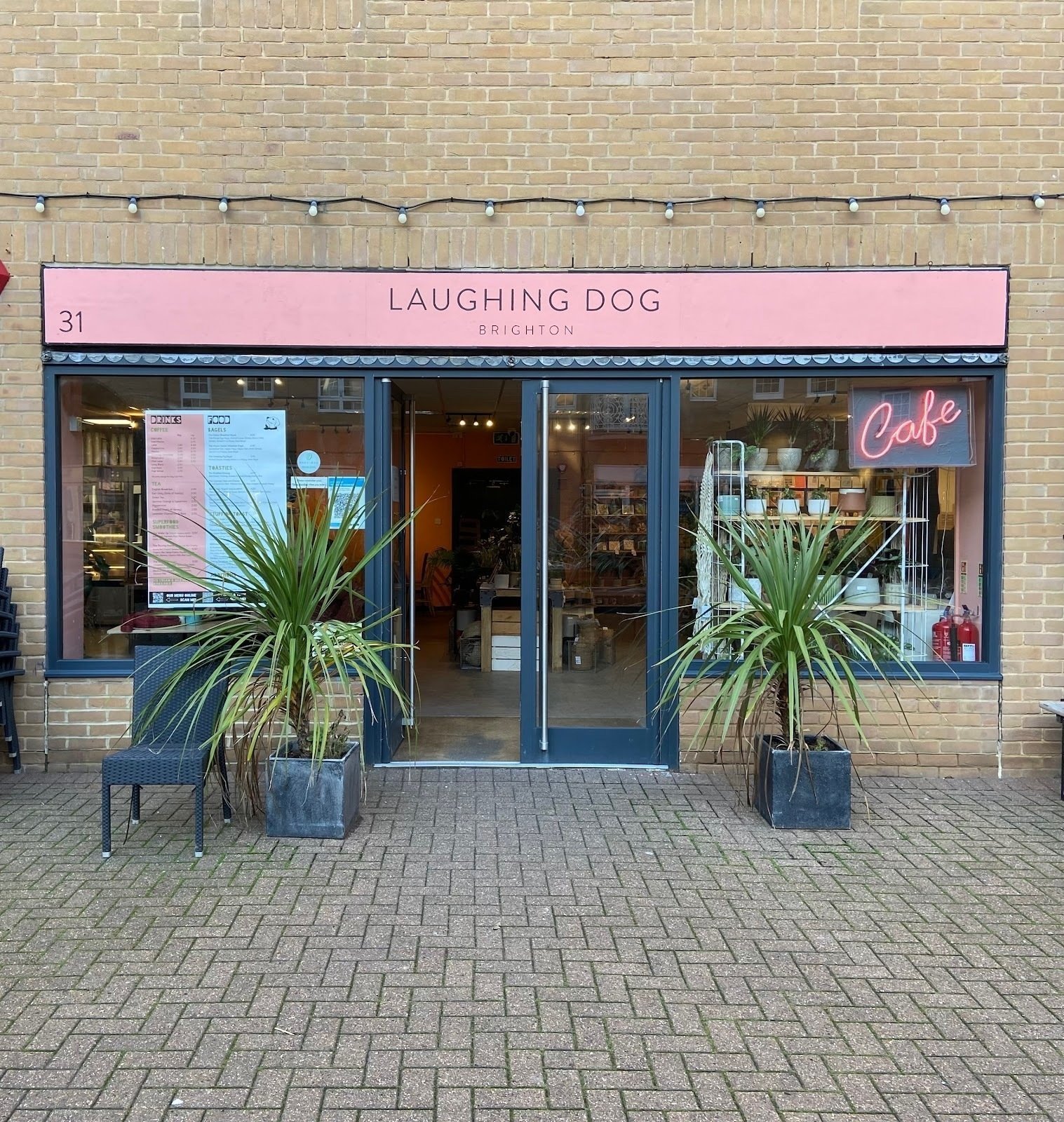 Laughing Dog Brighton Caf Shop A Work Friendly Place In Brighton